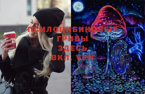 ПСИЛОЦИБИНОВЫЕ ГРИБЫ Кулебаки