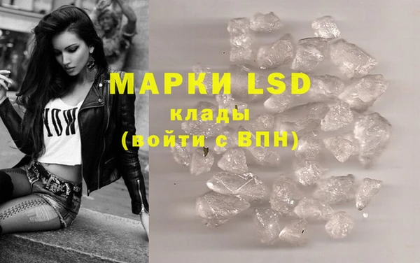 ПСИЛОЦИБИНОВЫЕ ГРИБЫ Кулебаки