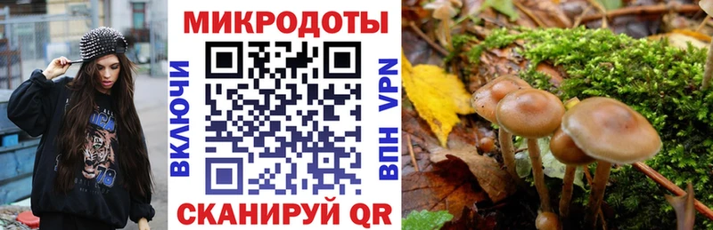 Галлюциногенные грибы ЛСД  цена наркотик  Холм 